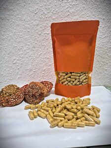 Amanita Muscaria – Kapsułki 0.5g