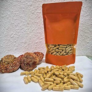 Amanita Muscaria – Kapsułki 0.5g