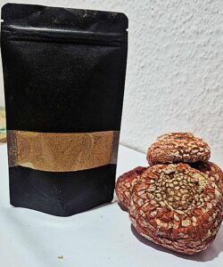 Amanita Muscaria w formie proszku