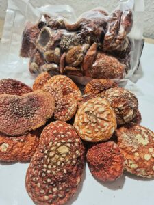 Amanita Muscaria – Suszone Kapelusze (Premium)