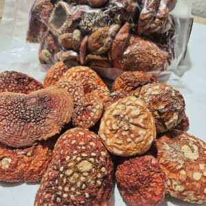 Amanita Muscaria – Suszone Kapelusze (Premium)