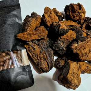 Czaga (Chaga) – Naturalny Adaptogen z Dzikich Lasów