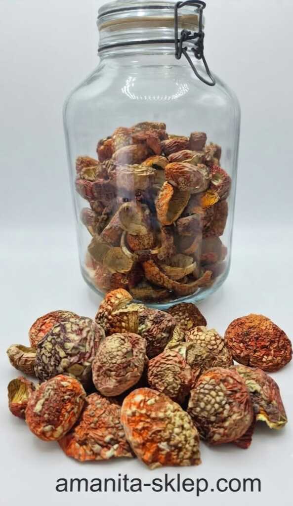 Zamknięte Kapelusze Premium 50 g (Amanita Muscaria) – Kolekcjonerskie