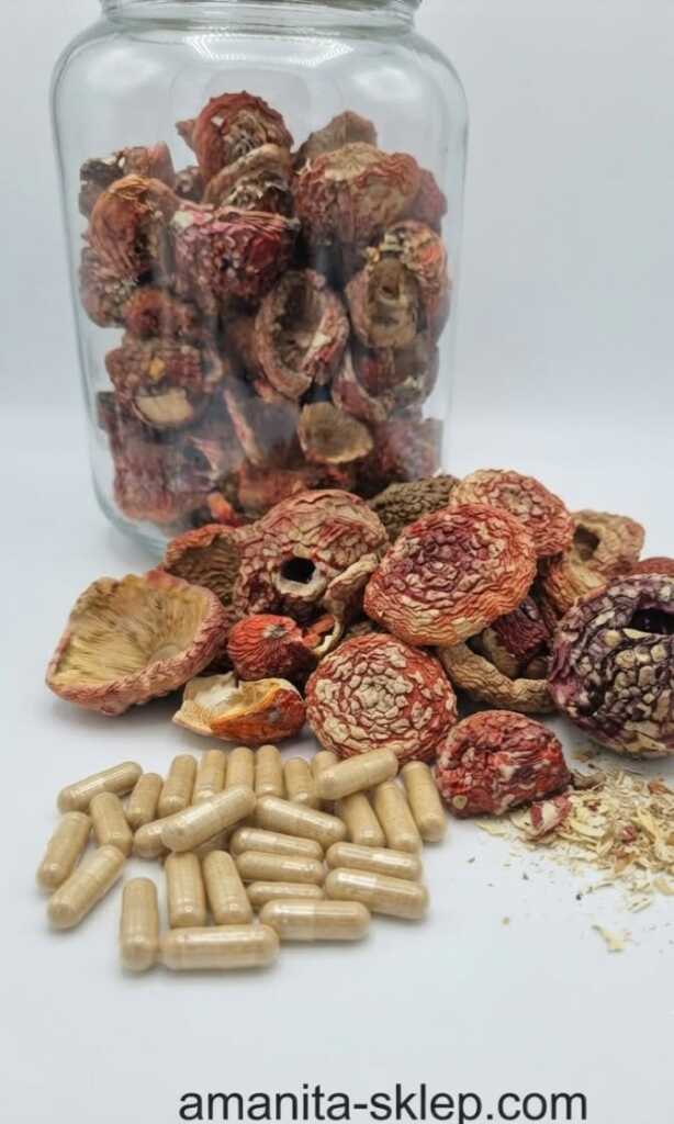 Zamknięte Kapelusze Premium 50 g (Amanita Muscaria) – Kolekcjonerskie - obrazek 2